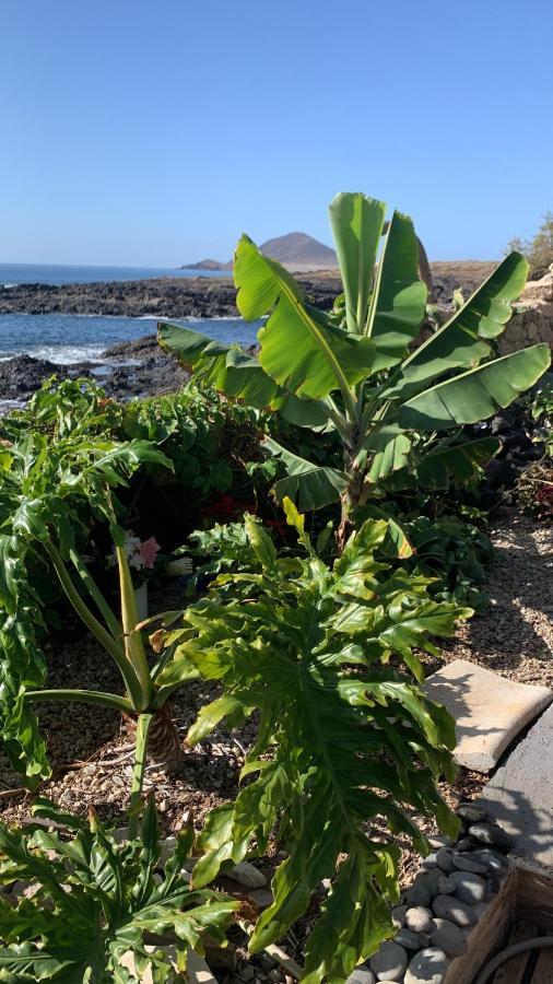 Little Paradise In El Medano Granadilla De Abona Exterior photo