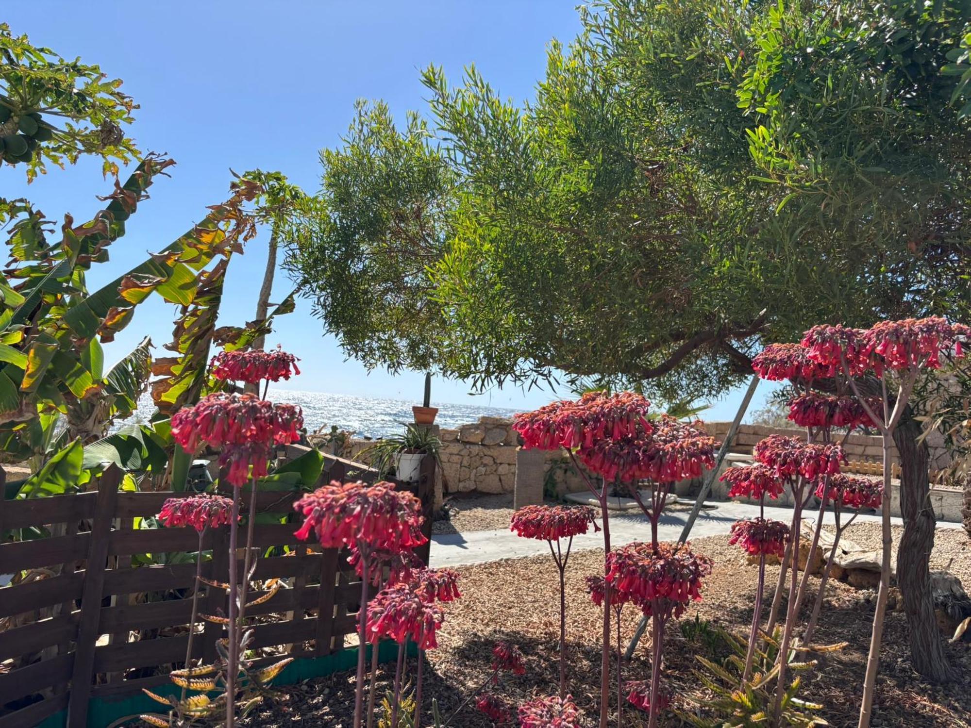 Little Paradise In El Medano Granadilla De Abona Exterior photo
